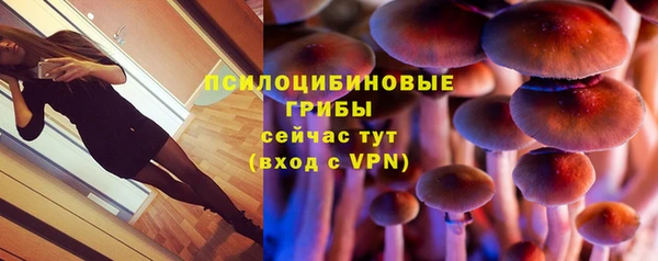 дживик Баксан