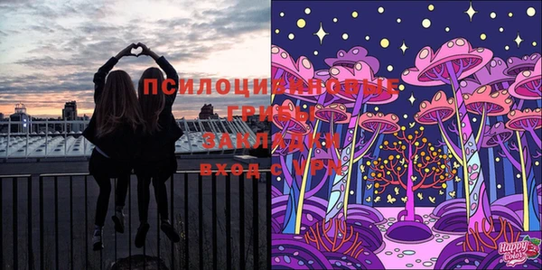 гашиш Арсеньев