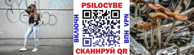 Купить  Нарьян-Мар  Галлюциногенные грибы прущие грибы 